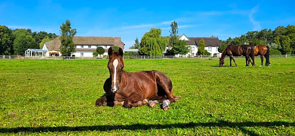 Friesenhof Hotel-Restaurant-Reitanlage