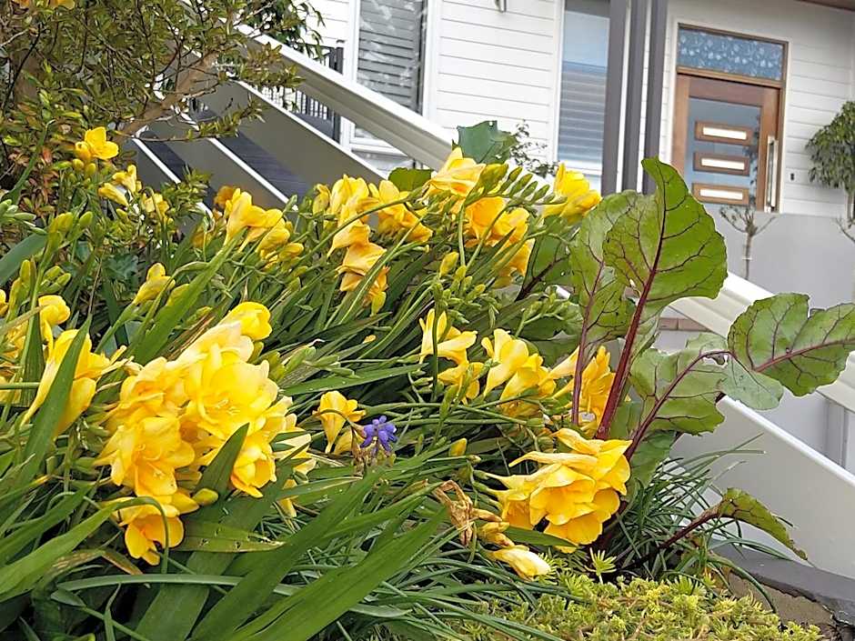 C'est La Vie Bed & Breakfast