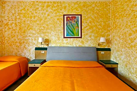 Basic Triple Room