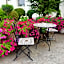 Hotel Ramor Garni