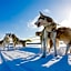 Wilderness Hotel Nellim & Igloos
