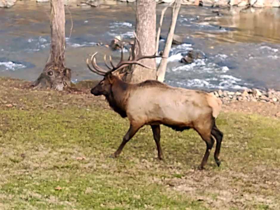 Quality Inn Cherokee Riverside