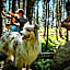 Chalet Ma Neou Village Vacances