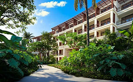 Junior Suite Tropical View King