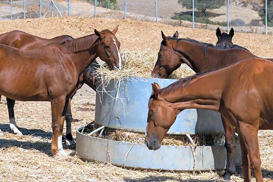 Demetriou Paradisos Hills Hotel