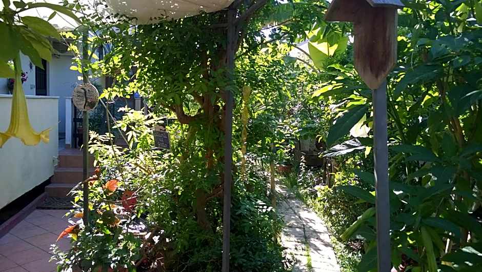 B&B Mare E Sole