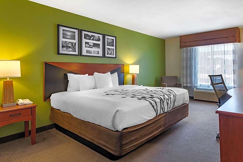 Sleep Inn & Suites Stockbridge Atlanta South