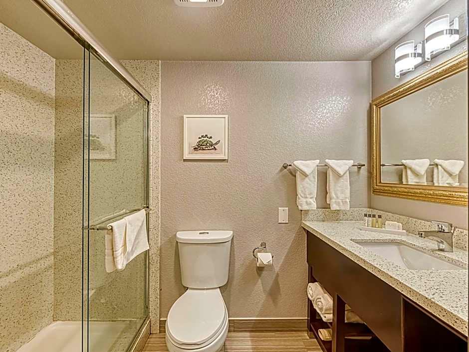 Amanzi Hotel, Ascend Hotel Collection