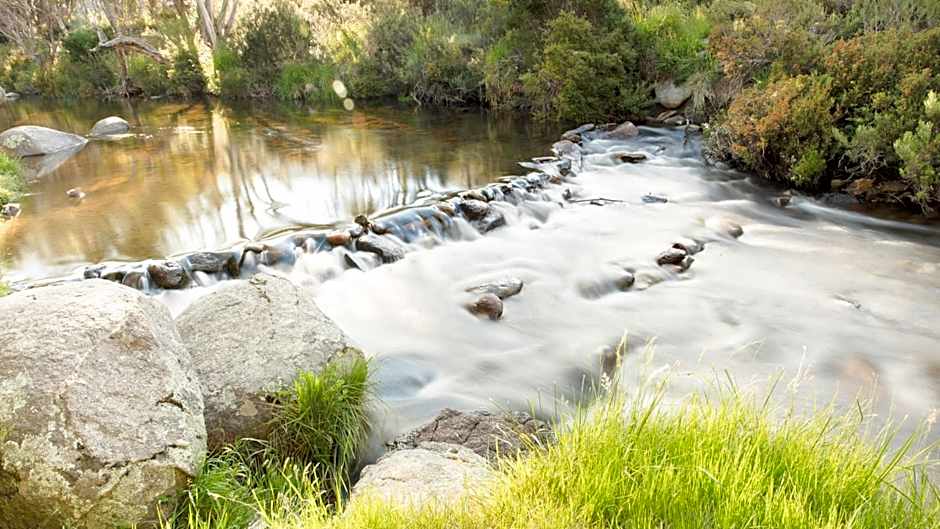 Bernti's Mountain Inn