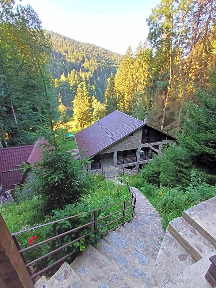 Cabana Zimbru Transfagarasan