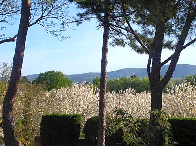 Le Clos de Lucie