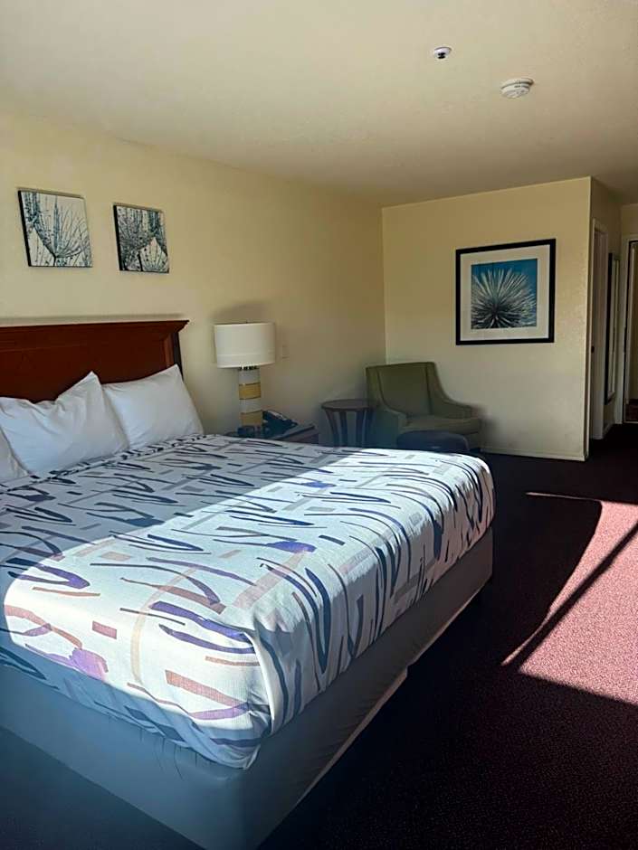 Photo 1 of 4 of Superior 1 King Bed