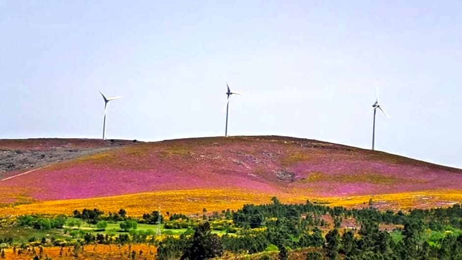 Lago da Garça Guesthouse