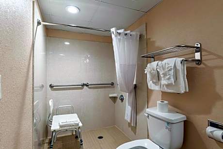 Standard King Room - Mobility Accessible/Non-Smoking