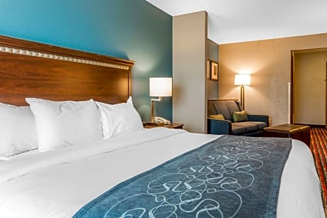 1 King Bed, Business Room, Nonsmoking, Accessible