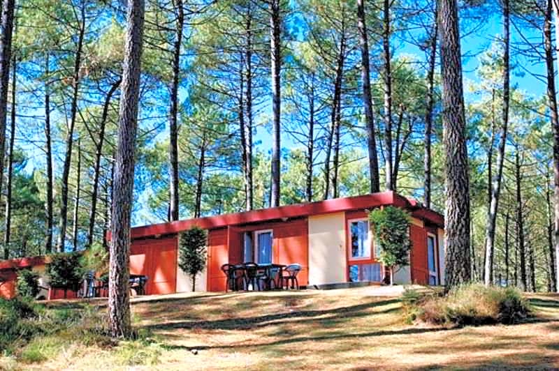 Village Sous les Pins