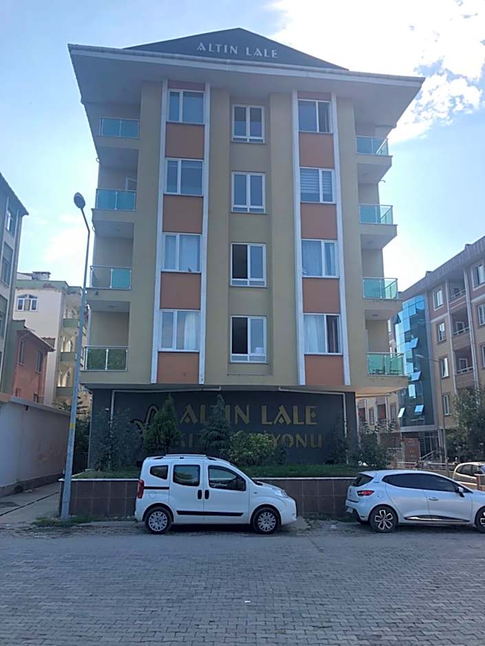 ALTIN LALE