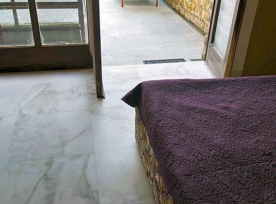 Big Terrace Apartment