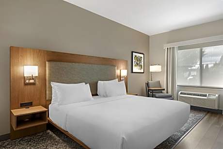 King Room with Roll-in Shower - Disability Access/Non-Smoking