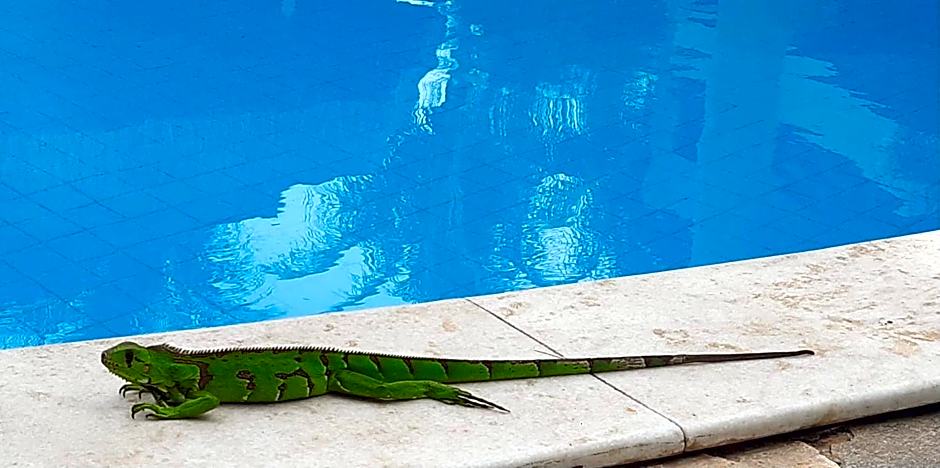 Triplex Tulipa - Praia da Pipa Centro