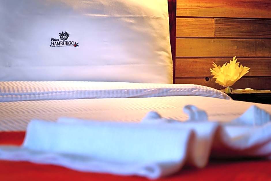 Finca Hamburgo La Ruta del Cafe