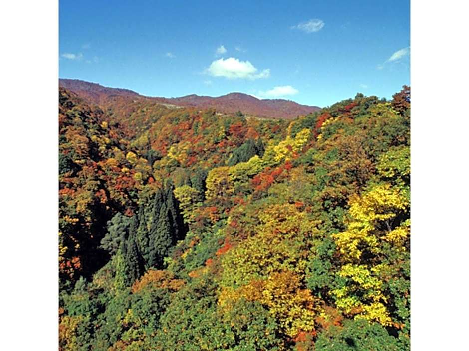 Hotel Silk in Madarao - Vacation STAY 79648v