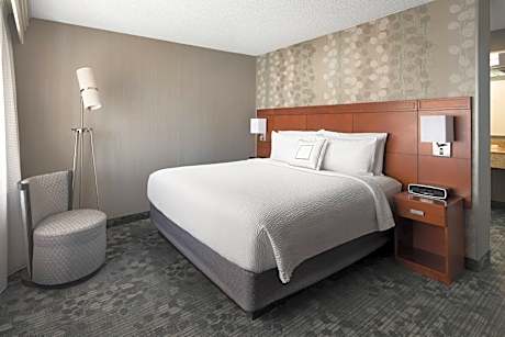 King Suite with Sofa Bed