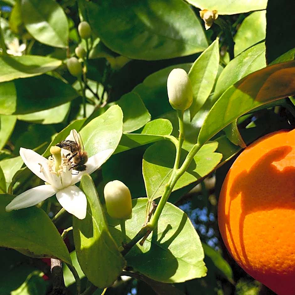 Hostel Douro Backpackers