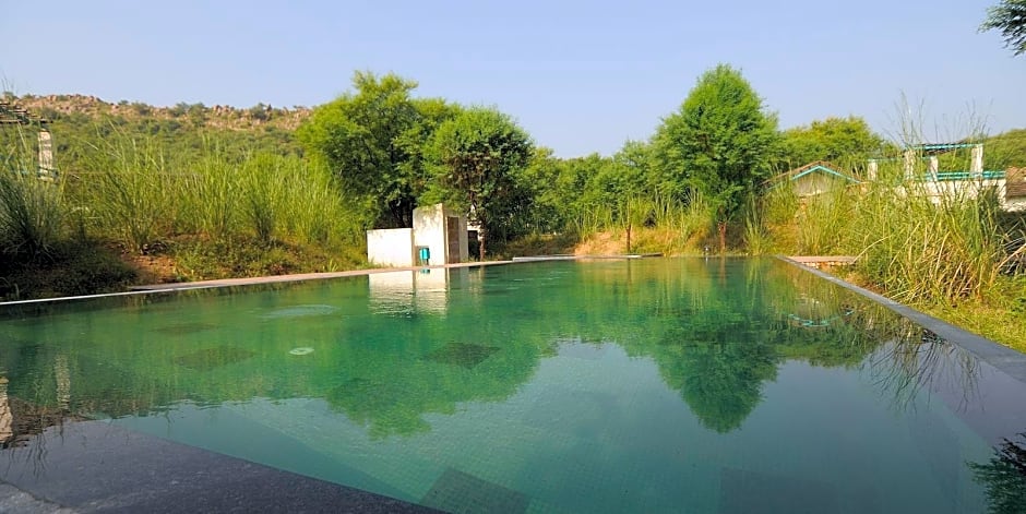 Trees N Tigers Luxury Wildlife Lodge