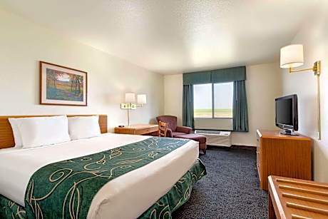 1 Queen Bed Non-Smoking