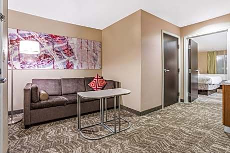 One Bedroom King Suite with Sofa Bed