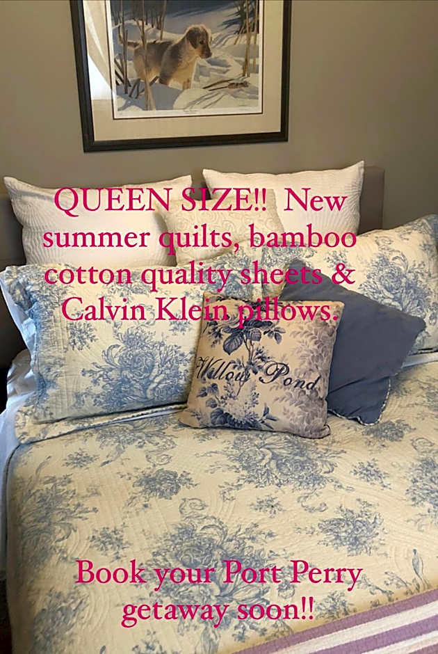 Willow Pond Satellite B&B