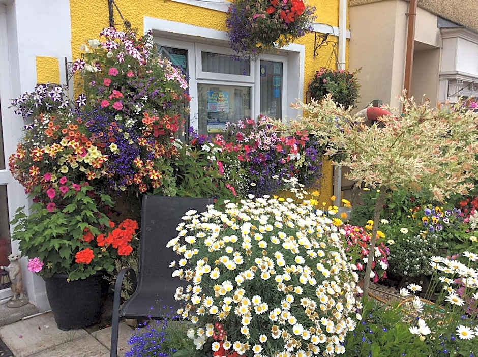 Globe Guesthouse