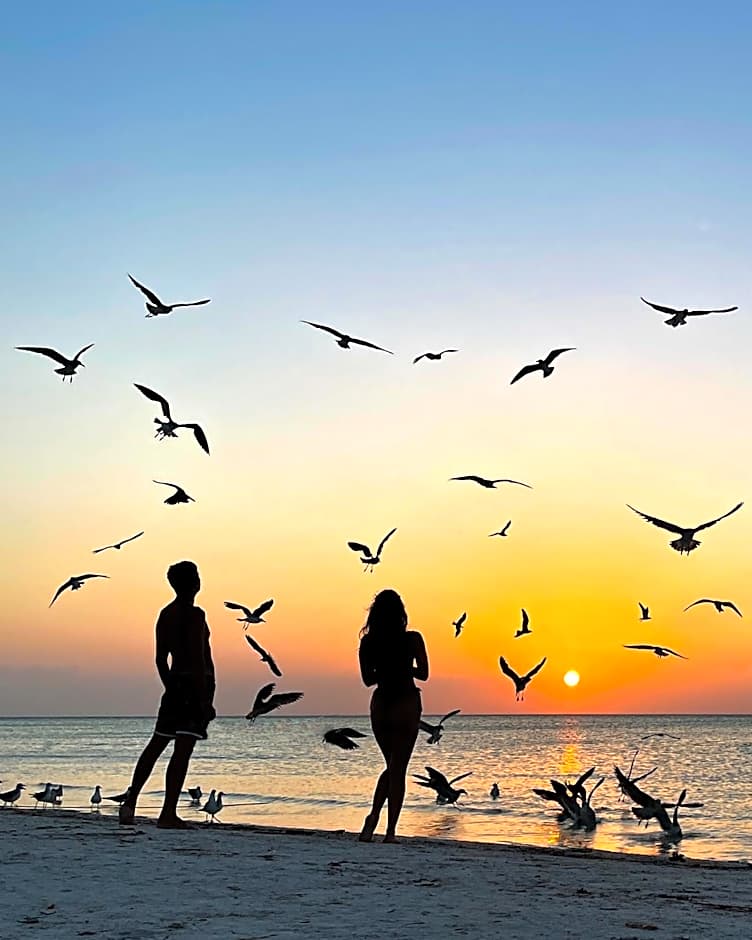 Casa Iguana Holbox - Beachfront Hotel