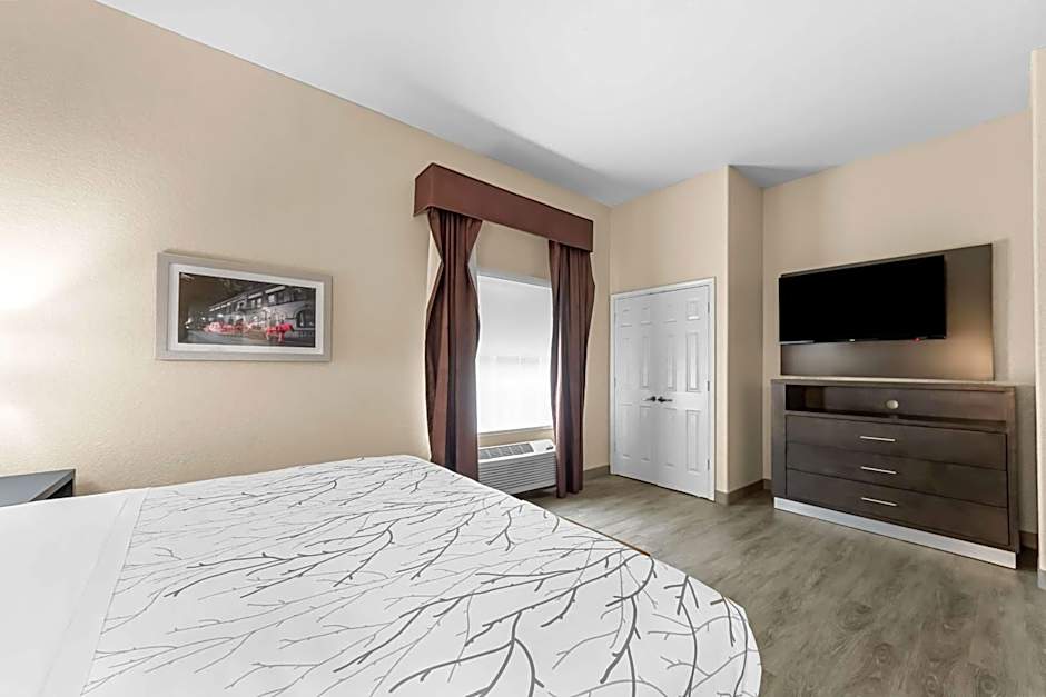 Best Western Boerne Inn & Suites