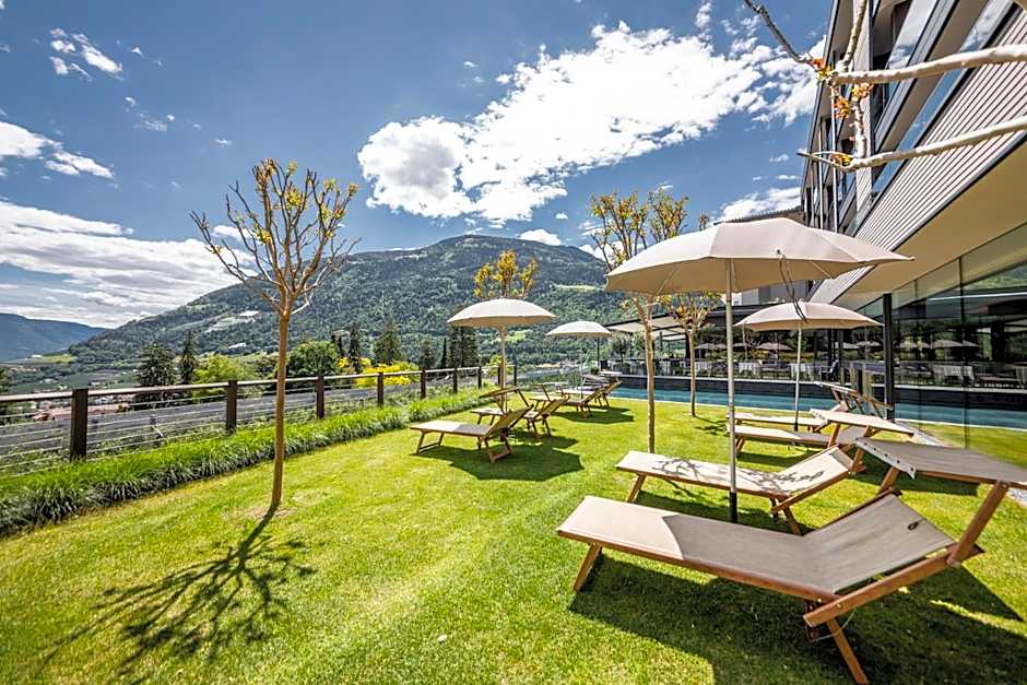 Avidea - Adults Only