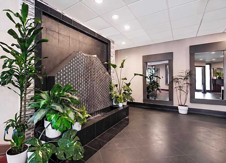 Hotel International