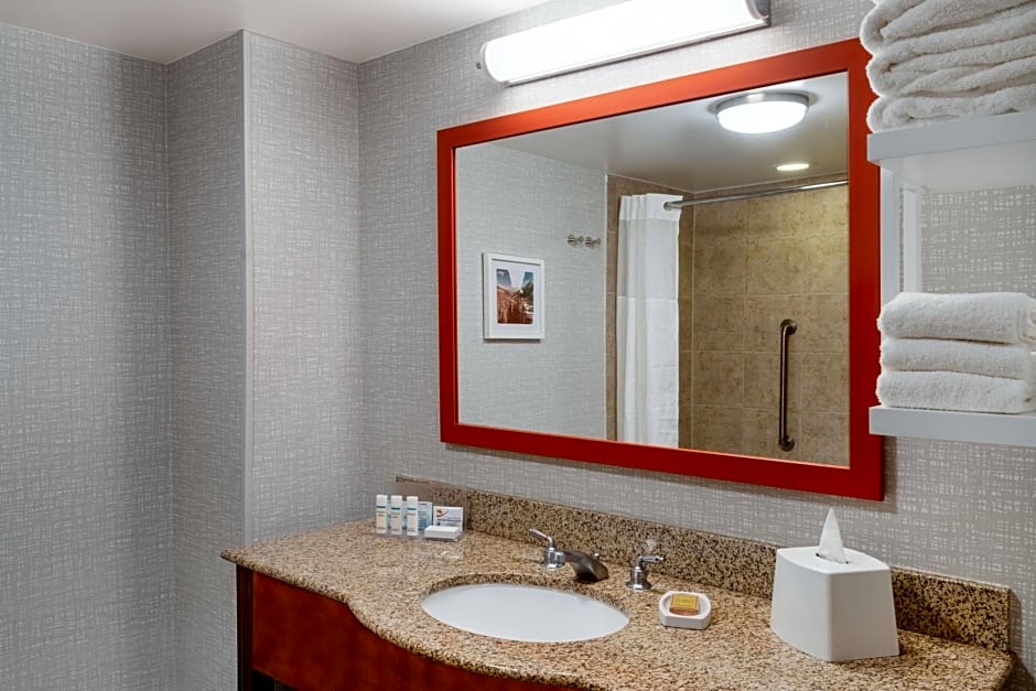 Hampton Inn By Hilton & Suites Salida