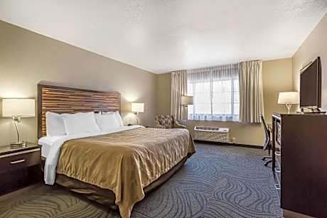 Deluxe Room, 1 King Bed with Sofa, Non Smoking