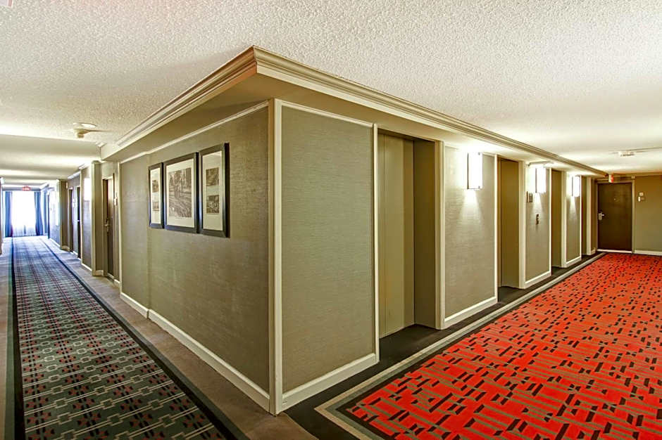 DoubleTree by Hilton Toronto Downtown