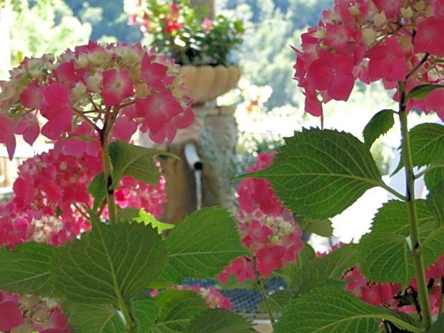 Les Florets
