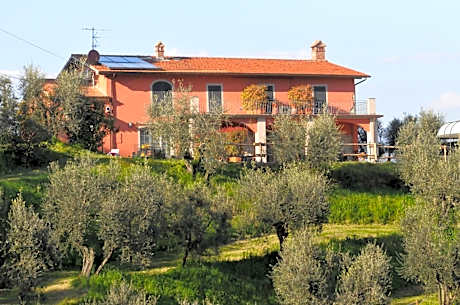 Olivia B&B and Apartment