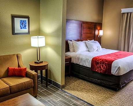 1 King Bed, Suite, Nonsmoking