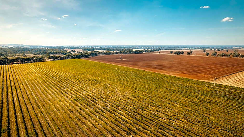 Vineyard Views at Shiraz Republic