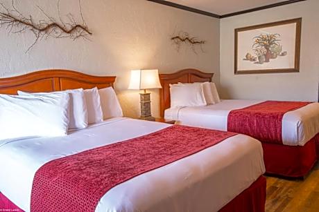Double Room with Pool View