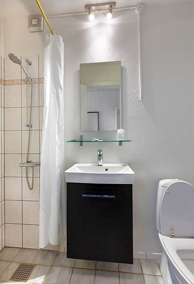 Dolphin Hotel Herning