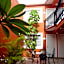 Hotel Camba