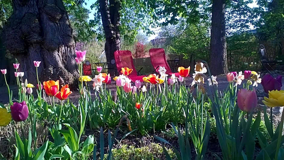 Bio Hotel Kipperquelle