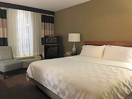 Standard King Room with Mobility Accessible Tub