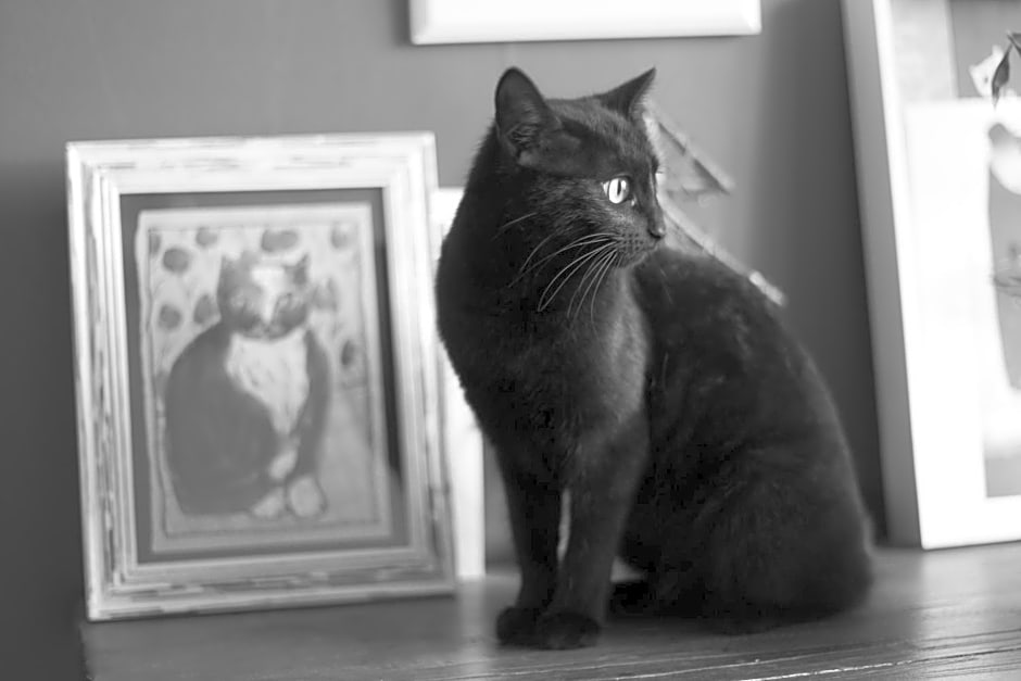 Chambre d'Hôte à Douarnenez